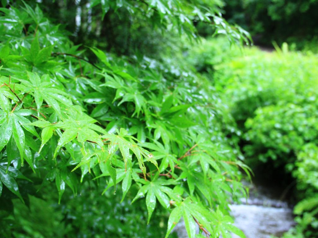 Kose Onsen Hotel Karuizawa Ngoại thất bức ảnh